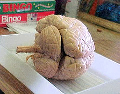 человеческом мозге